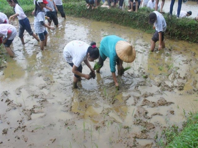 Agri-tourism should go hand in hand with new rural development