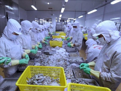 Seafood firms struggle in local market