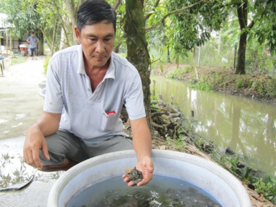 Về miền Tây thăm tỷ phú ba ba