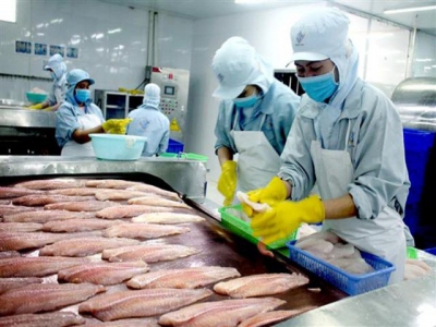 Control of catfish exports to China