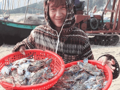 Xuân Yên fishfarmers earn millions dong from swimming crab