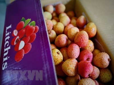 Measures for VN farm produces greater presence in Chinese market