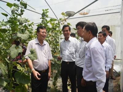 Farmers in Binh Duong are good in production and business