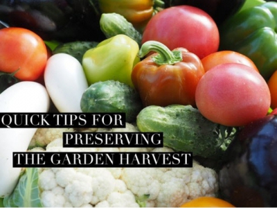 Quick Tips for Preserving the Garden Harvest