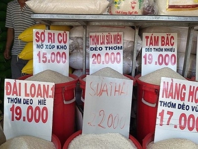 Fakes flood market after Vietnam rice variety chosen worlds best