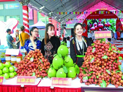 Hanoi developing supply chains of safe agricultural produce