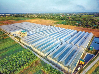 Agriculture in a position to grow