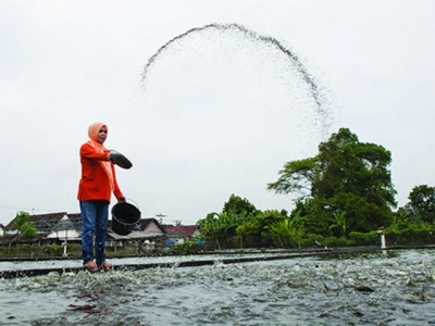 Thị trường cá tra: Miếng bánh hấp dẫn?