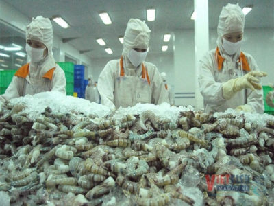 Shrimp exports are facing difficulties reaching goal