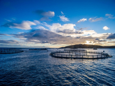 How aquaculture producers can benefit from a beyond compliance approach