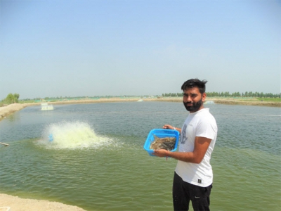 Development of inland saline-water aquaculture in Punjab, India