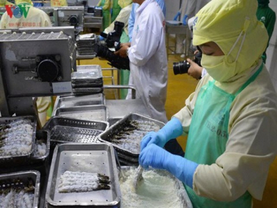 Shrimp exports to EU suffer plunge in ten months