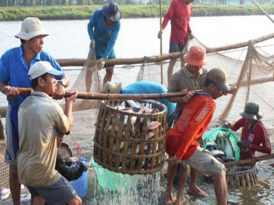 Aquatic exports expected to decline by 1.2 percent