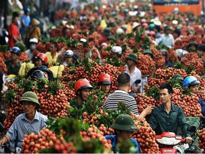 Vietnams agriculture sector targets $40 billion export