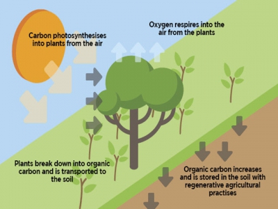 Carbon farming opportunities beckon farmers