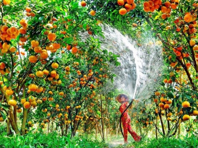 Phát triển hệ thống canh tác hữu cơ gắn vơi du lịch sinh thái