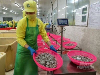 Restore production for seafood processing enterprises