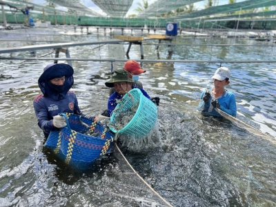 Bạc Liêu đạt kim ngạch xuất khẩu thủy sản 1 tỷ USD