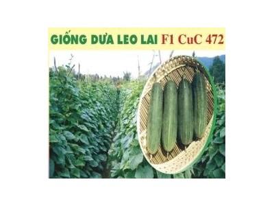 Dưa Leo F1 Cuc 472
