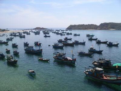 Đầu Xuân Làng Tôm Hùm Nhơn Hải Vẫn “Đìu Hiu” Ở Bình Định