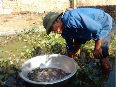 Làm Ăn Bài Bản, Thu Nhập Vững Chắc