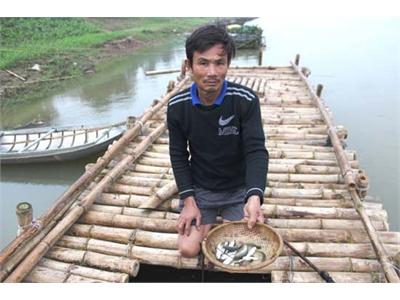 Nông Dân Khổ Vì Cá Chết Hàng Loạt