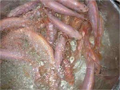 Kỹ Thuật Nuôi Cá Điêu Hồng Sau Vụ Tôm