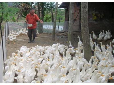 Sản Xuất Nông Nghiệp Đạt Nhiều Kết Quả Quan Trọng