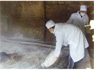 Dịch Bệnh Trên Gia Cầm Không Xuất Phát Từ Bình Phước