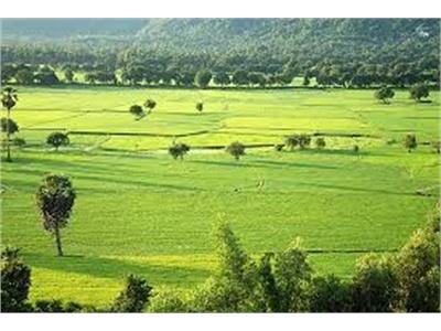 Du Lịch Ruộng Đồng