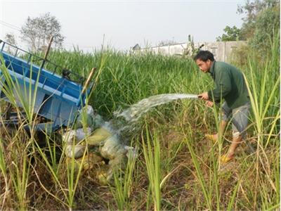 Nuôi Bò Sữa Gây Ô Nhiễm Môi Trường