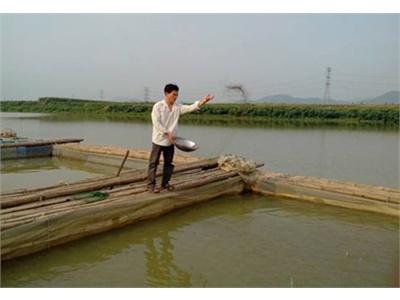 Triệu Phú Tuổi 24