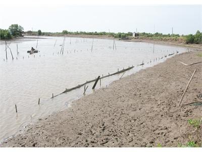 Băn Khoăn Trước Vụ Sò Mới