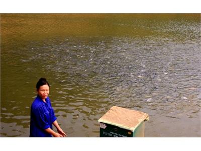 Hơn 1.000 Tấn Thủy Sản Đang Tung Ra Thị Trường
