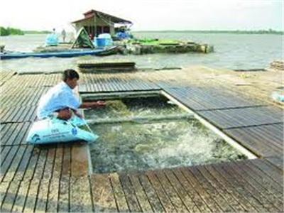 Sản Lượng Thủy Sản Tăng 4,1%