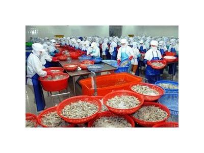 Xuất Khẩu Gạo, Càphê Sụt Giảm, Thủy Sản Vẫn Là Chủ Lực