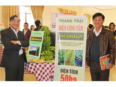 Trang Trại Chuối Laba Điền Công Tâm