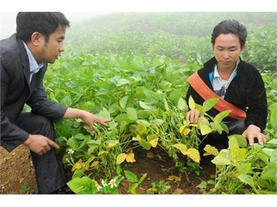 Mãi Đồng Hành Cùng Nhà Nông