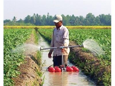 Máy Tưới Dưa Hấu Hiệu Suất Cao
