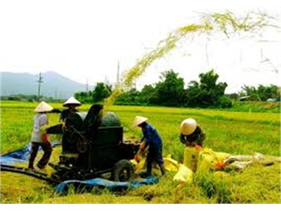 Điện Phong Công Bố Xã Đạt Chuẩn Nông Thôn Mới