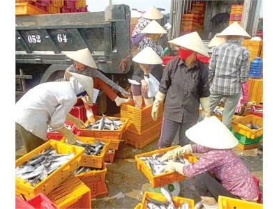 Giá Trị Sản Xuất Thủy Sản Tháng 1 Bằng 108,8% So Với Cùng Kỳ 2014