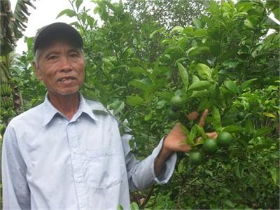 Hiệu Quả Từ Mô Hình Vườn Cây Ao Cá