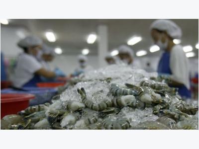 Frozen shrimp exports to RoK must undergo quarantine