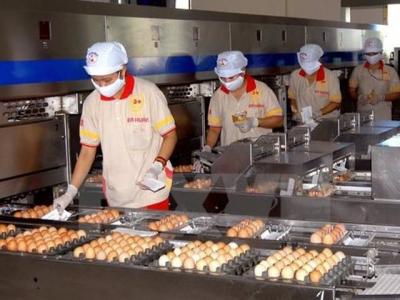 Vietnam sets import quotas for eggs, cigarettes