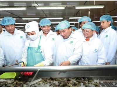 PM tours shrimp processing corporation in Ca Mau