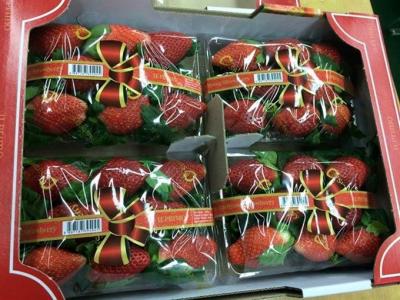 RoK strawberry imports face new rules