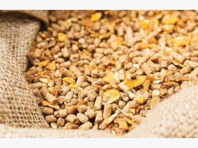 Animal feed savings with a multi-component enzyme