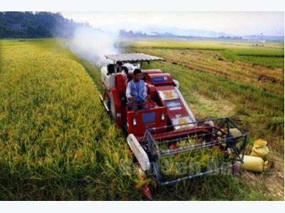 Tích tụ đất đai - giải pháp thực hiện tái cơ cấu ngành nông nghiệp
