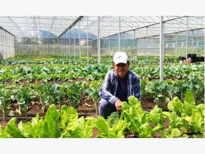Trang trại rau organic triệu đô ở Đà Lạt