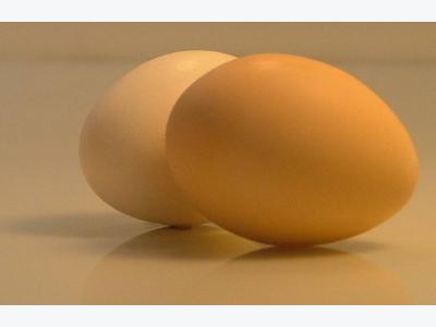 6 ways egg producers can win consumers trust